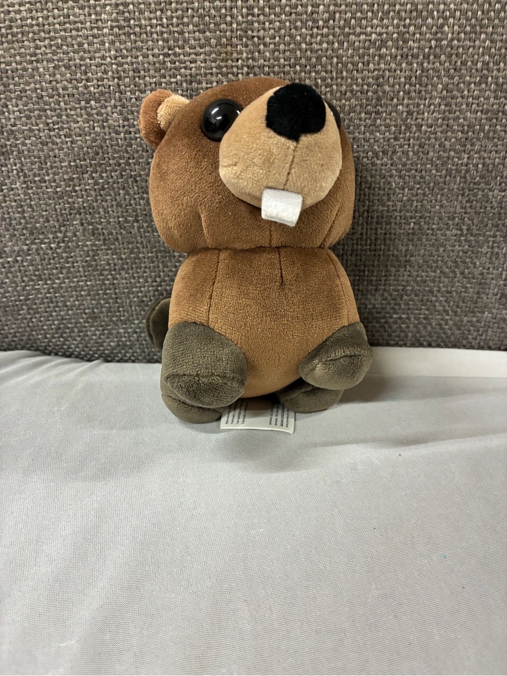 Adopt Me Surprise Beaver Plush Stuffed Animal Toy 4.5 Inch No Code Tag